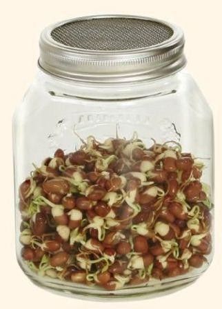 kiemglas 1000ml